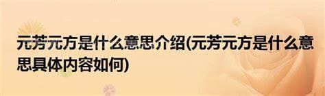 关于元方是什么意思的信息