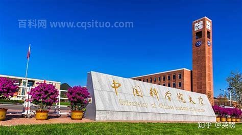 国科大是哪所大学（中国科学院大学是985和211吗）