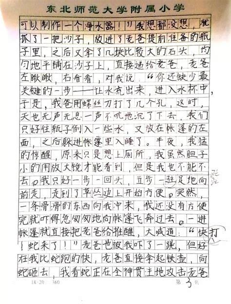 热带雨林探险之旅作文500字