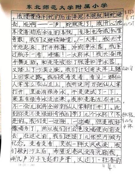 神奇的探险之旅作文300字