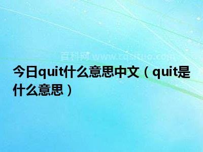 quit是什么意思中文