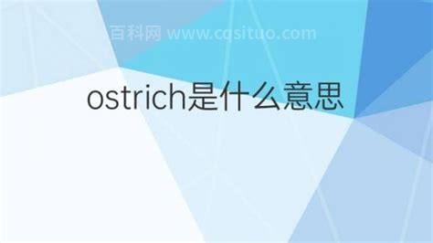 ostrich是什么意思