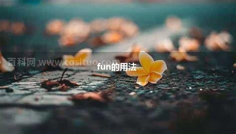 fun的用法