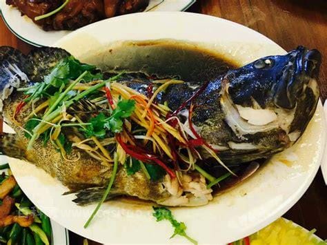 清蒸石斑鱼是哪个地方的菜(清蒸石斑鱼是哪个地方的菜系)