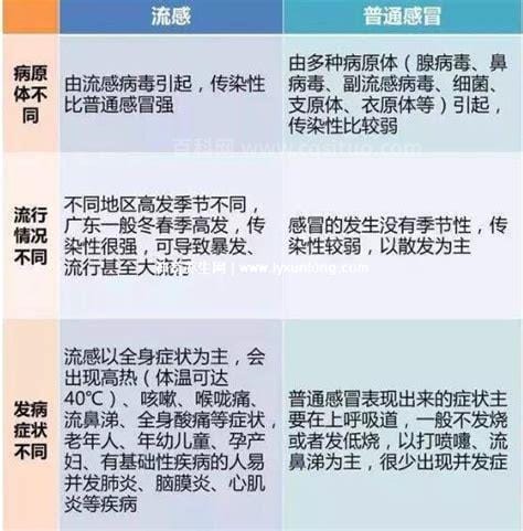 甲流为什么一睡觉就发烧，晚上病毒活性强/反复发烧的特点