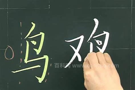 鸟字旁有哪些字