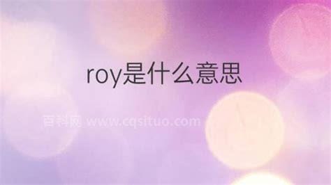 roy是什么意思