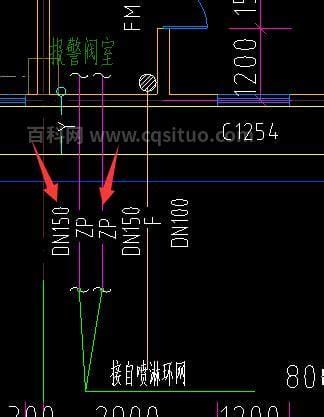 别人说zp什么意思