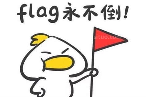 立个目标能说flag吗