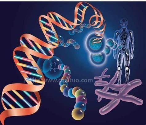 遗传学的三大基本定律是什么