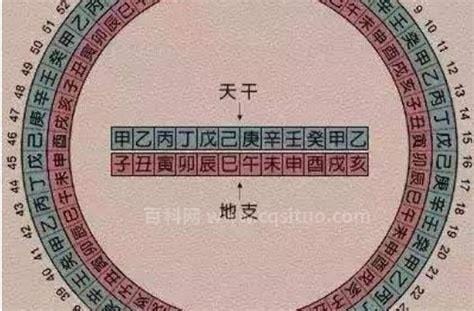 22年壬寅年什么意思