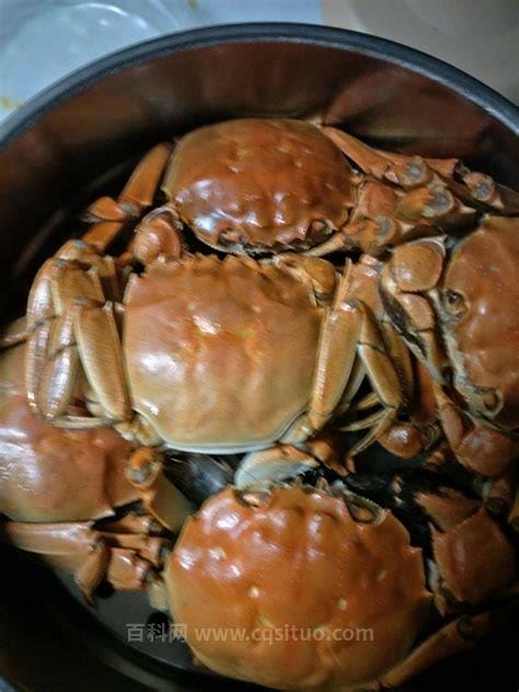 螃蟹蒸多长时间最好吃，一般15-20分钟左右（还要看螃蟹的大小）