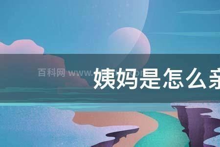 姨母和我是什么关系