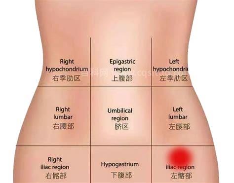 女性左下腹疼痛位置图，女性下腹疼痛部位图解分析