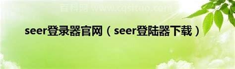 seer登录器怎么打不开