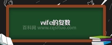 wife的复数形式是什么