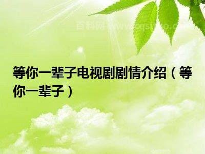 等你一辈子独白