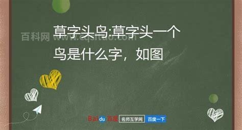 鸟加个几念什么