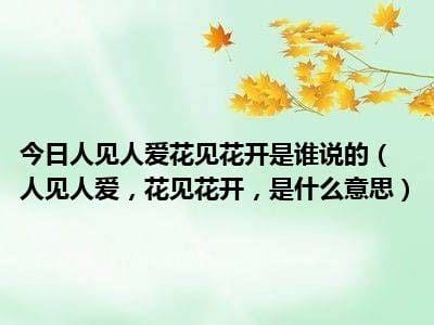 人见人爱什么意思