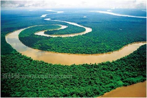 亚马逊河流的介绍