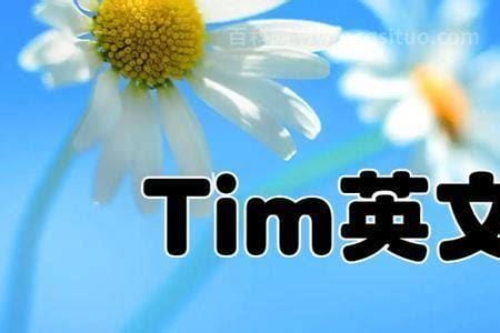 tim中文是什么意思