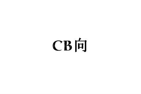 cb向是什么意思啊