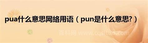 pun是什么意思网络用语