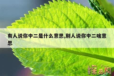 别人说二宝啥意思