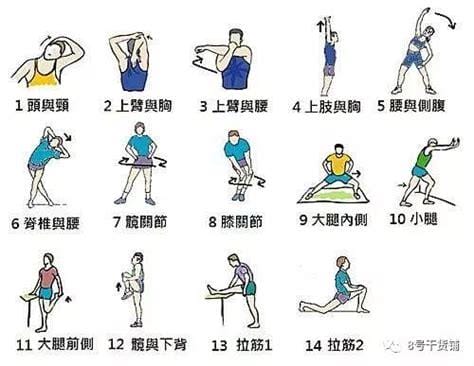 体育课热身运动八个步骤