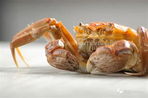 什么是螃蟹式恋爱