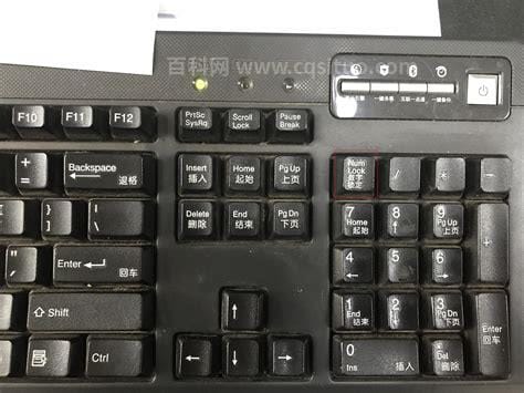 为什么键盘上的字母打不出来