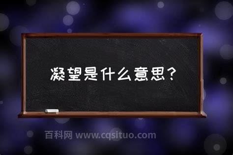 凝望是什么意思