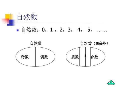 自然数的个数是什么