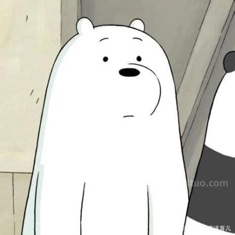求一部讲白熊的动画电影