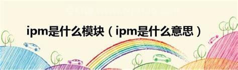 IPM是什么意思