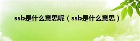 ssb是什么意思