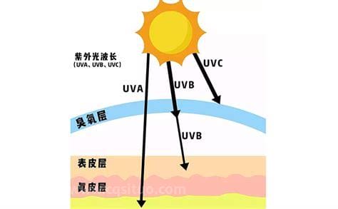 紫外线的穿透力