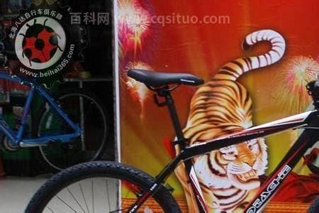 蒙太奇自行车是哪个国家的品牌