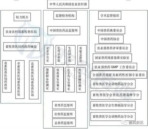 兽药gsp怎么审批