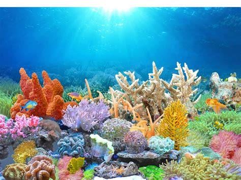 海底世界有许多什么的海洋生物