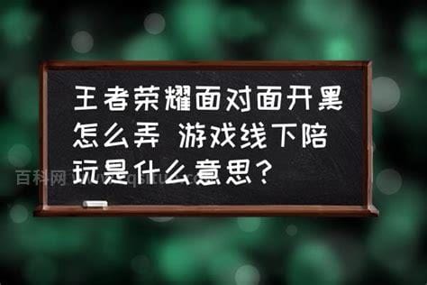 陪玩是什么意思