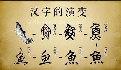 有趣的汉字来源50字