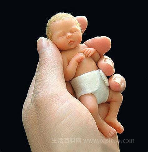 世界上最小的婴儿，美国的阿米利娅·泰勒(出生时体重仅为280克)