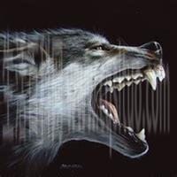 最凶猛的三大狼，北美灰狼/西北狼/俄