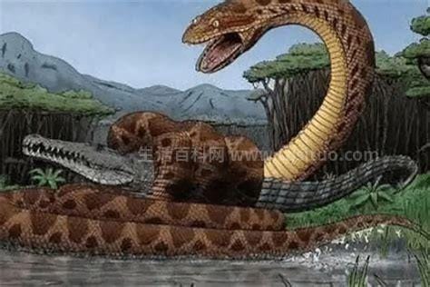 中国最吓人的一条巨蛇，四川出现120米大蛇(绝对的谣言)