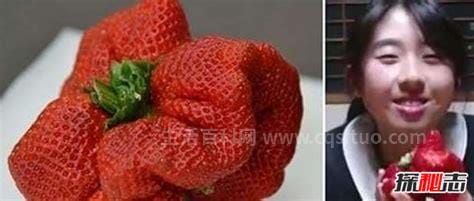 世界上最大的草莓，重达289克(成年人的巴掌大小)