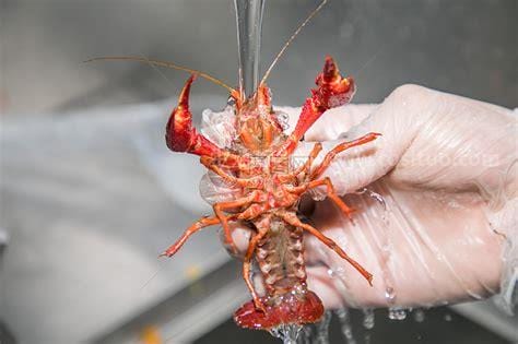 小龙虾怎么洗才干净，用这四种方法收拾虾最干净