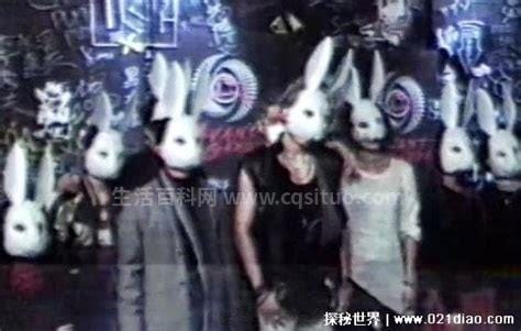 10只兔子恐怖照片，故事背后实为情杀