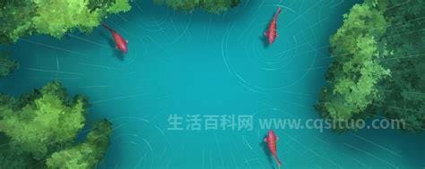 小池描写的是哪个季节，初夏时节的池塘美景(杨万里代表作)