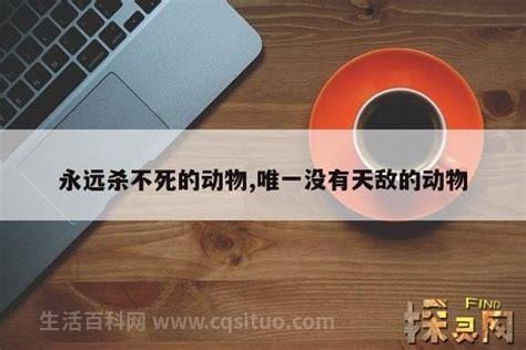 永远杀不死的动物，蛇类无头也可存活